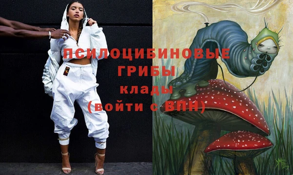 спиды Алексеевка