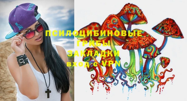 ешки Алексин
