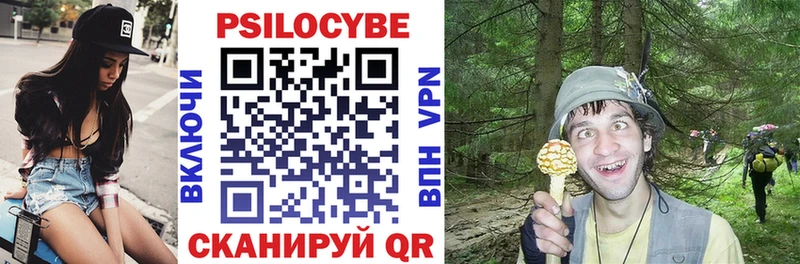 Галлюциногенные грибы Psilocybe  Гаджиево 