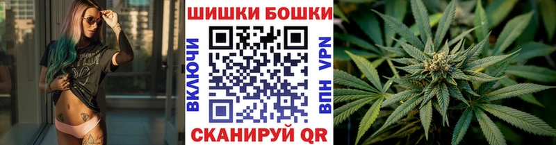 Каннабис план  Гаджиево 